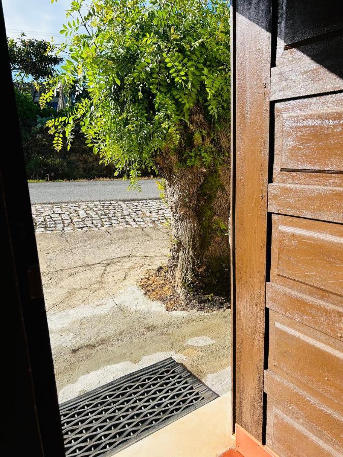 Mae Home Carril Caldas Da Rainha Exterior foto